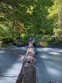 From Feeling to Action: Communication with Intention