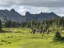 Lead Sustainably – Best Practices for Teaching Low-Impact Travel in the Backcountry