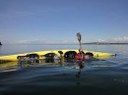 Basic Sea Kayaking Open Water Practice