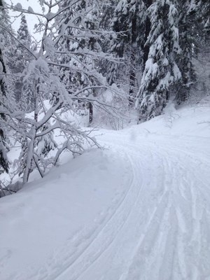 Avalanche Classroom Session
