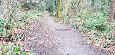 Mountain Workshop Coffee Oasis Mountaineer Club Hike