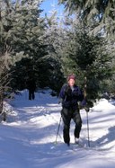 Cross-country Ski Trek to Meany Lodge for Lunch