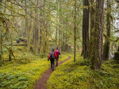 New Hike-Backpack Leader Seminar - Online Classroom