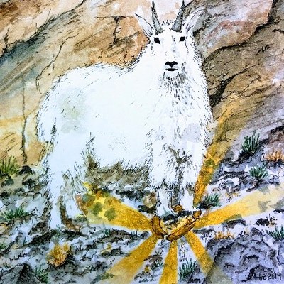 Breaking the Halo: Empowering Students in Outdoor Education