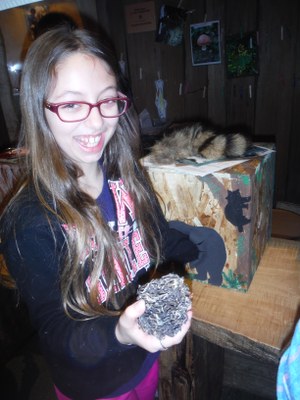 HOCM - Discover Nature