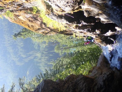 Intermediate Entrance Assessment