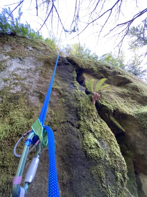 Seattle Basic Alpine Climbing Practice