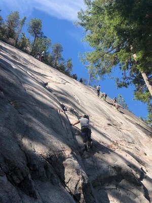 Trad Modules Instructor Review