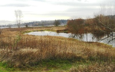 Field Trip 2 - Seattle Naturalists Intro Natural World Course