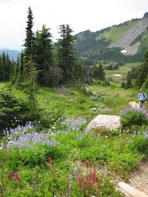 Lecture 2 - Seattle Naturalists Intro Natural World Course