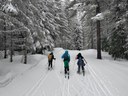 Seattle Explorers XC Skiing