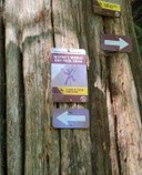 Seattle MAC Drytooling