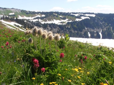 Introduction to Hiking