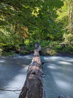 From Feeling to Action: Communication with Intention