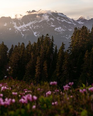 How Much Longer? Exploring the Journey toward Racial Equity and Inclusion in Nature