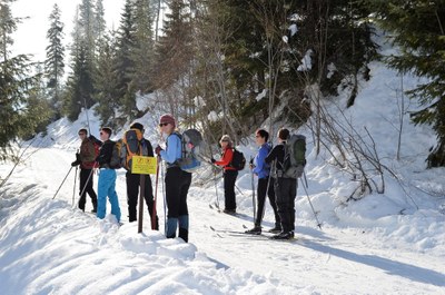 Pre-Season Snowsports Instructor Training