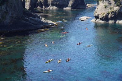 Missing Activity Template - Mountaineers Tacoma Program Center