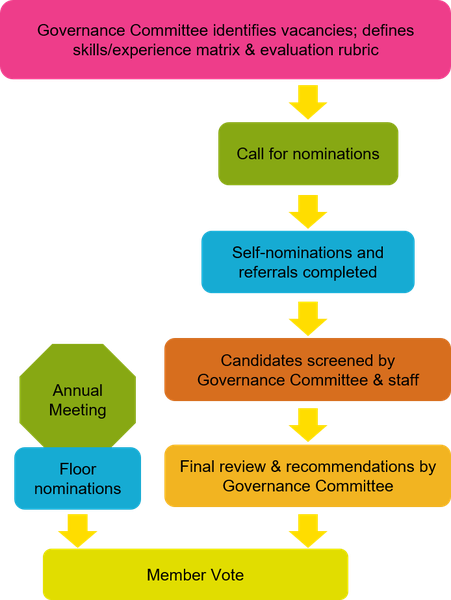 Governance Committee Process.png