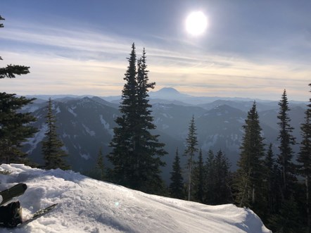 Sexual Harassment and Sexual Assault Prevention Committee