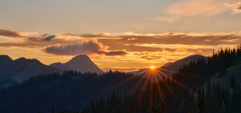 Development Committee