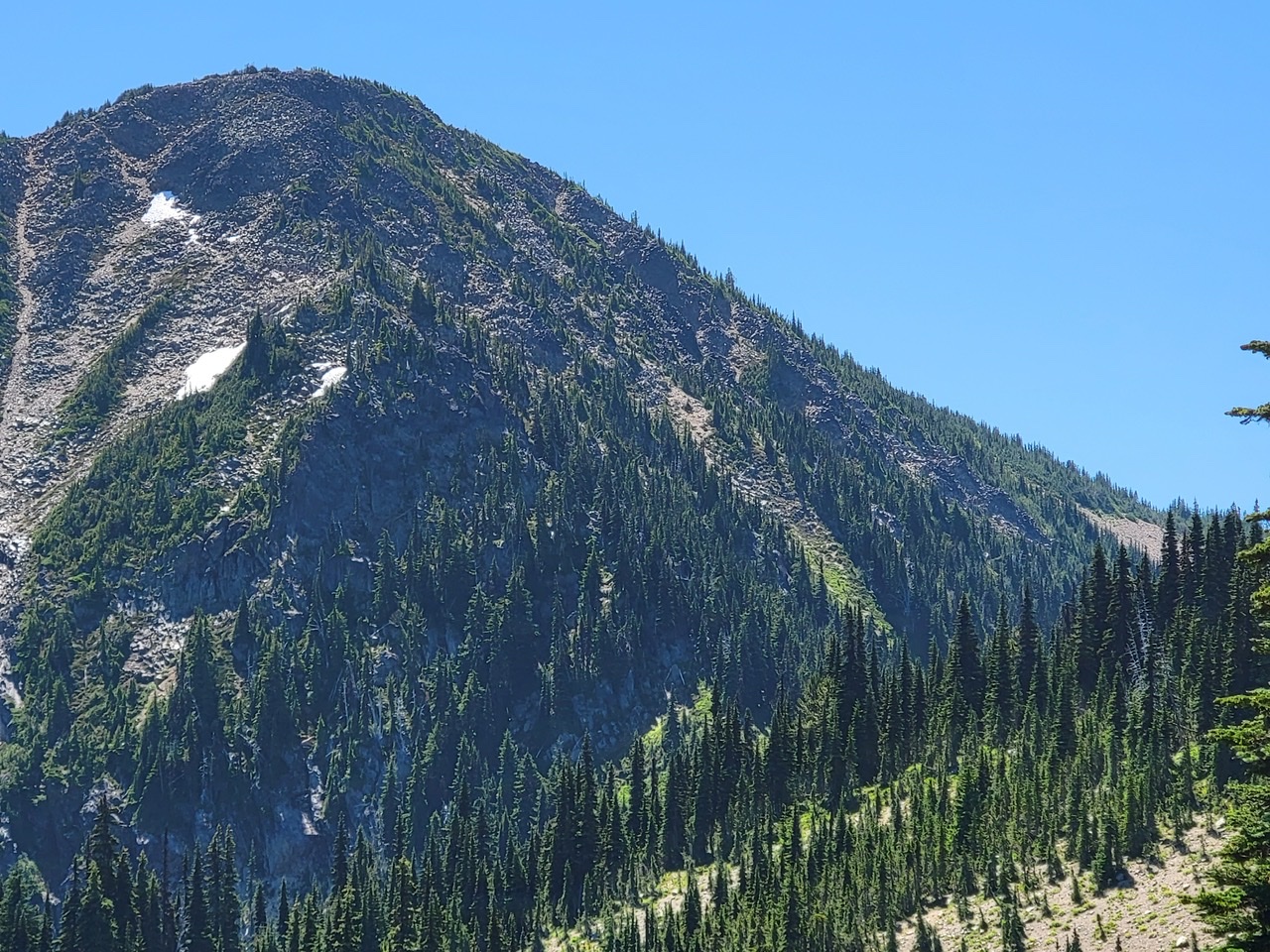 5E7A6285-141F-4755-9275-4ACC9AC88493.jpeg 5E7A6285-141F-4755-9275-4ACC9AC88493.jpeg