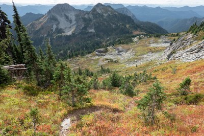 Alpine Scramble - Copper & Iron Mountains (Mount Rainier)