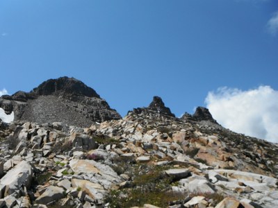 Alpine Scramble - Gothic Peak