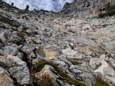 Alpine Scramble - Kaleetan Peak/White Ledges
