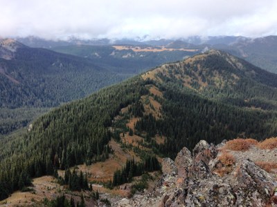 Alpine Scramble - Marcus Peak and Grand Park