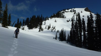 Alpine Scramble - Mount Wow