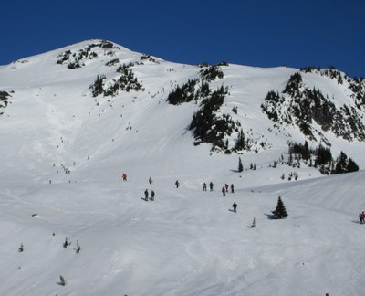 Alpine Scramble - Panorama Point