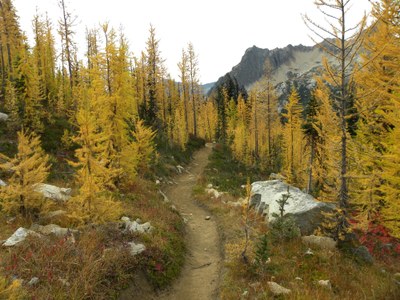 Alpine Scramble - Peak 7552