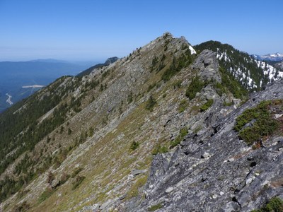 Alpine Scramble - Putrid Pete's Peak & Web Mountain