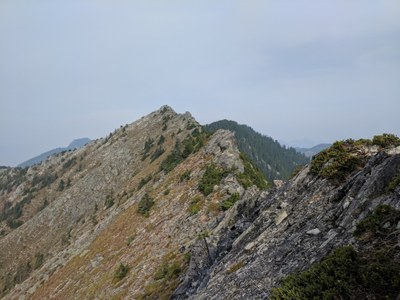 Alpine Scramble - Putrid Pete's Peak, Web Mountain & Mount Defiance