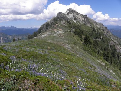 Alpine Scramble - Stevens Peak