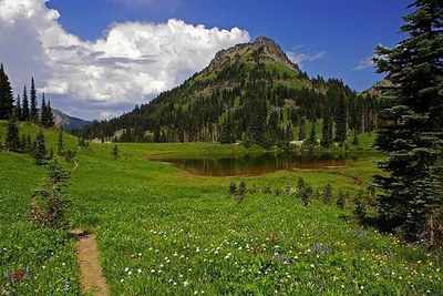 Alpine Scramble - Yakima Peak