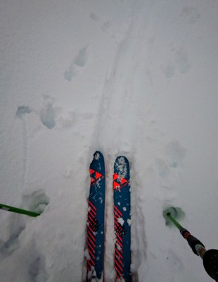 Backcountry Ski/Snowboard - Alpental Backcountry