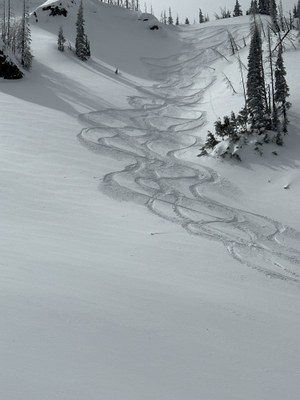 Backcountry Ski/Snowboard - Bullion Basin
