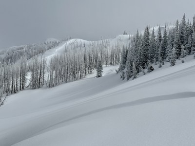 Backcountry Ski/Snowboard - Bullion Basin