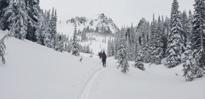 Backcountry Ski/Snowboard - Crystal Mountain Backcountry