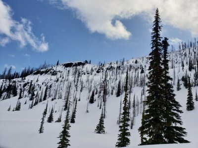 Backcountry Ski/Snowboard - Haney Meadow Loop