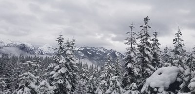 Backcountry Ski/Snowboard - Radio Mountain