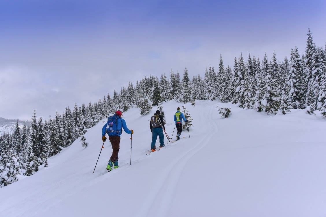 Backcountry Ski/Snowboard Snoqualmie Pass to Stampede Pass The