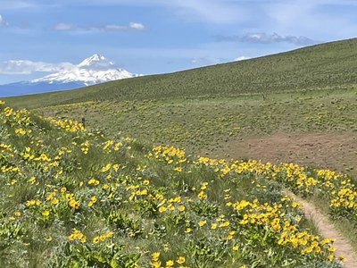 Backcountry Trail Run - Columbia Hills State Park