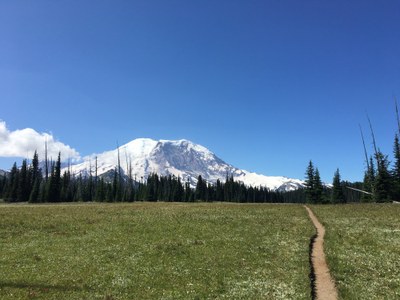 Backcountry Trail Run - Grand Park (Mount Rainier)
