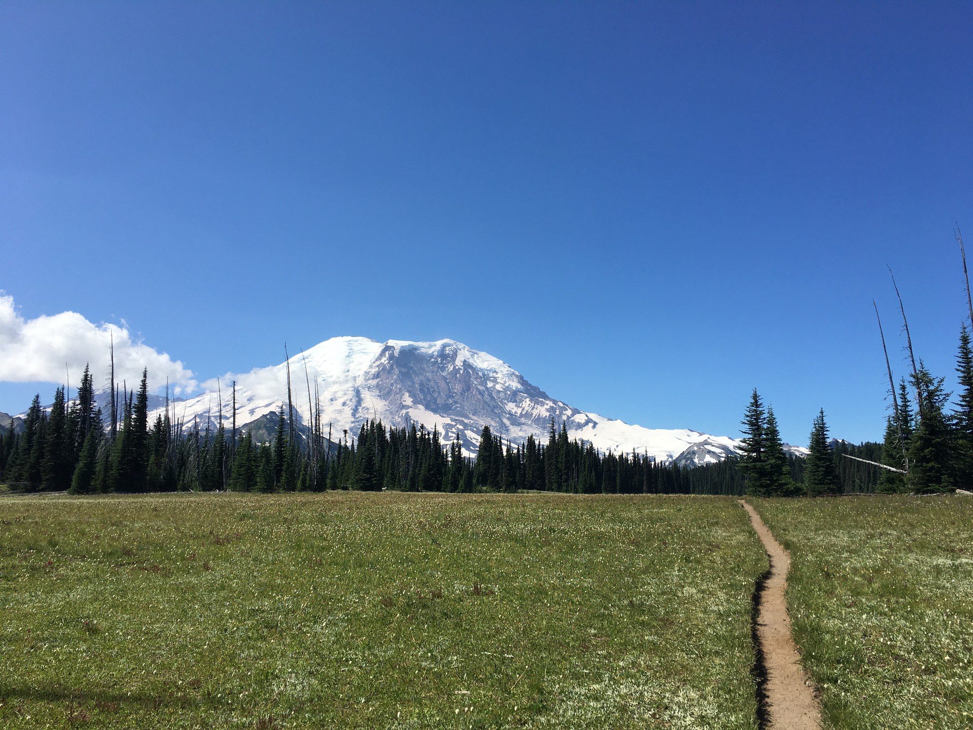 Backcountry Trail Run Grand Park (Mount Rainier) The Mountaineers