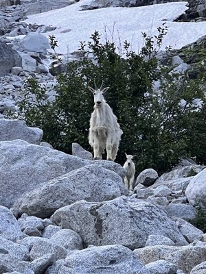Backcountry Trail Run - The Enchantments