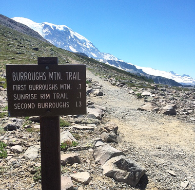 Backcountry Trail Run - Third Burroughs Mountain
