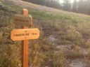 Backcountry Trail Run - Timberline Trail