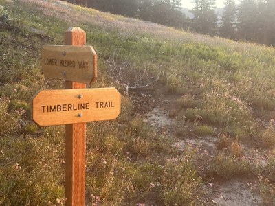 Backcountry Trail Run - Timberline Trail